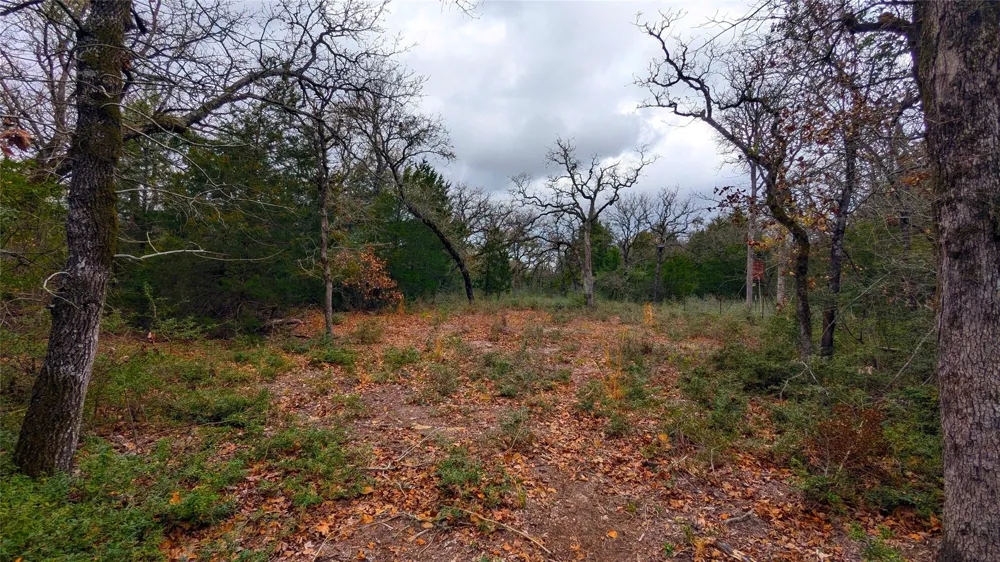 62 Fm-937 Groesbeck, TX 76642