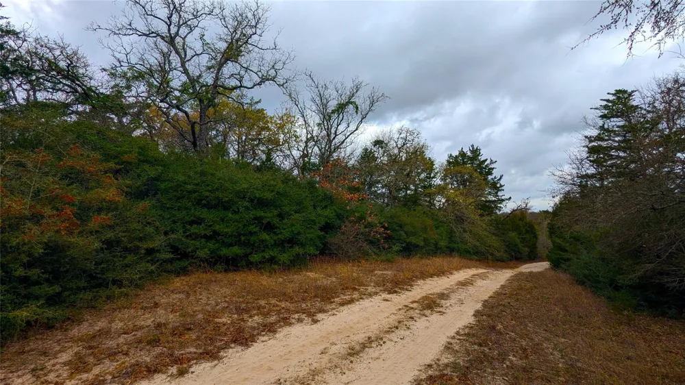 62 Fm-937 Groesbeck, TX 76642