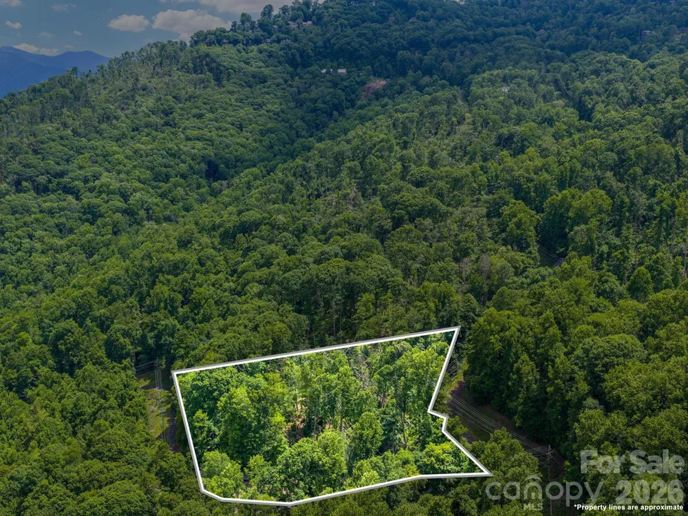 99999 Winterberry Road #11 Burnsville, NC 28714