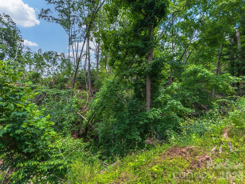 99999 Winterberry Road #11 Burnsville, NC 28714