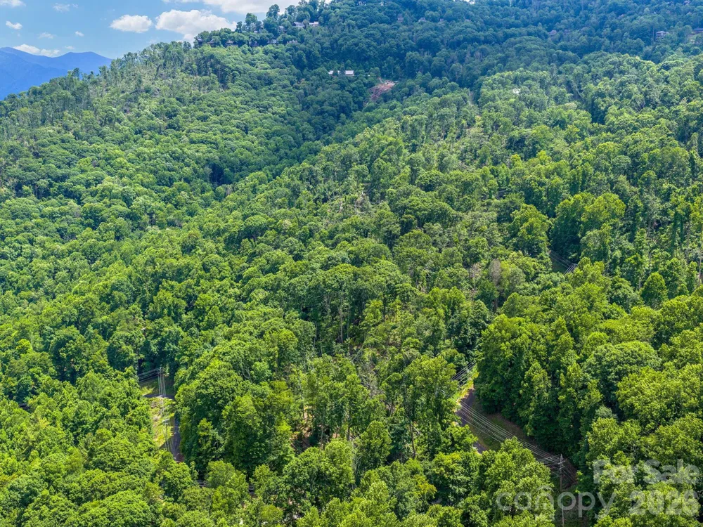 99999 Winterberry Road #11 Burnsville, NC 28714