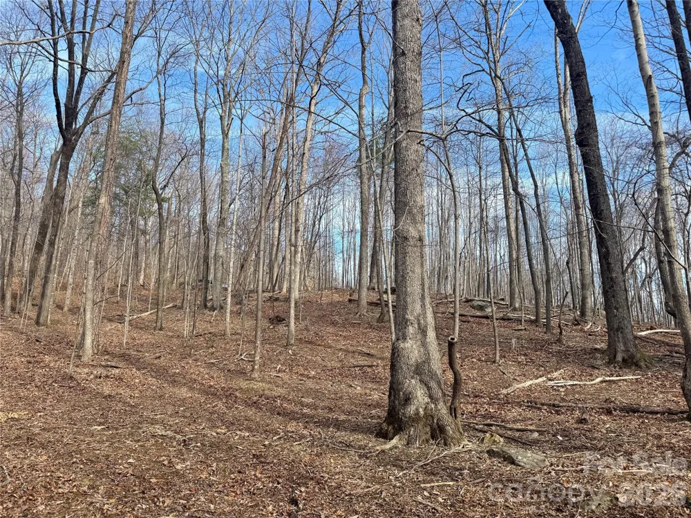 99999 Chesterfield Drive #176 Mill Spring, NC 28756