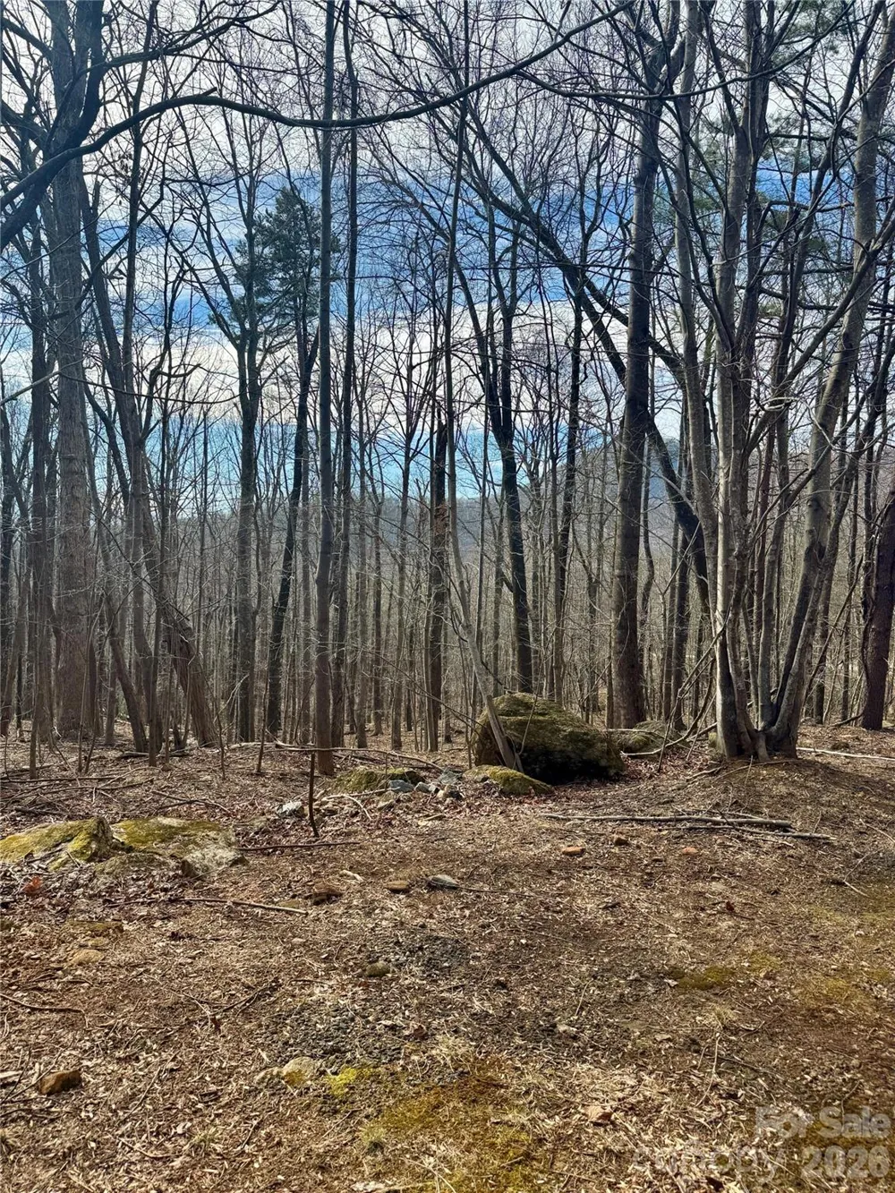 99999 Chesterfield Drive #176 Mill Spring, NC 28756