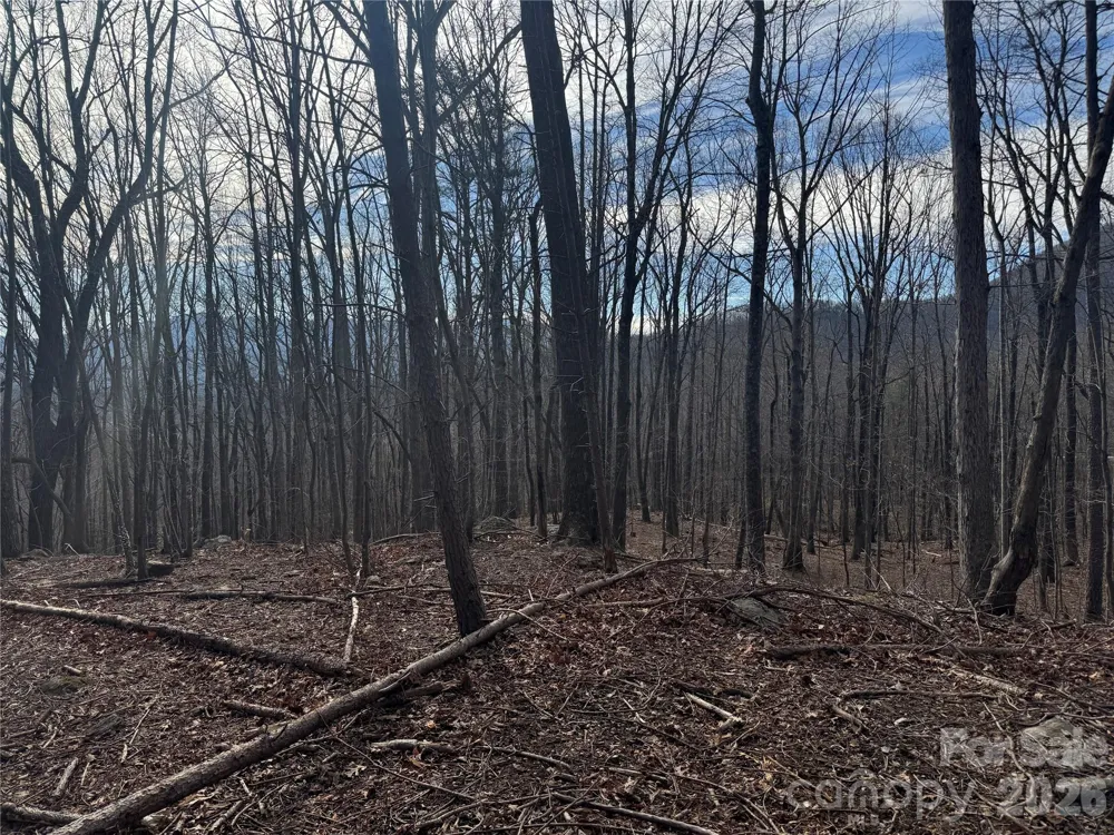99999 Chesterfield Drive #176 Mill Spring, NC 28756