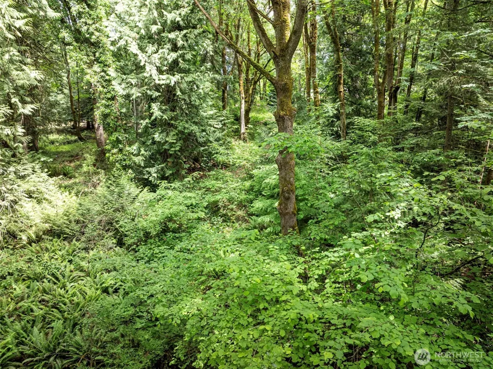 5412 46th Street Ct NW Gig Harbor, WA 98335