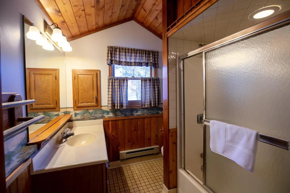 11515 Camelia #Unit 62 Crosslake, MN 56442