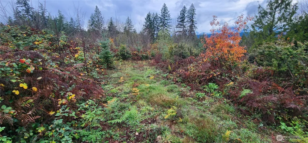0 E Twanoh Heights Road Belfair, WA 98528