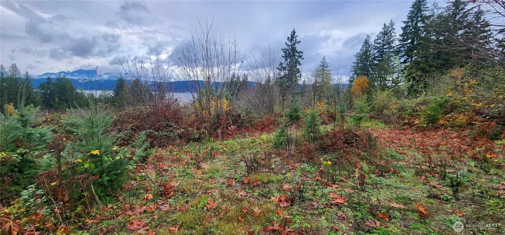 0 E Twanoh Heights Road Belfair, WA 98528