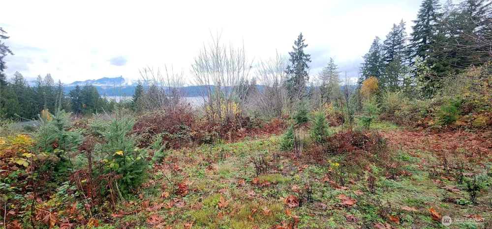 0 E Twanoh Heights Road Belfair, WA 98528