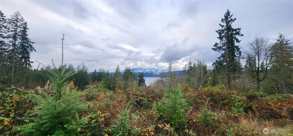 0 E Twanoh Heights Road Belfair, WA 98528