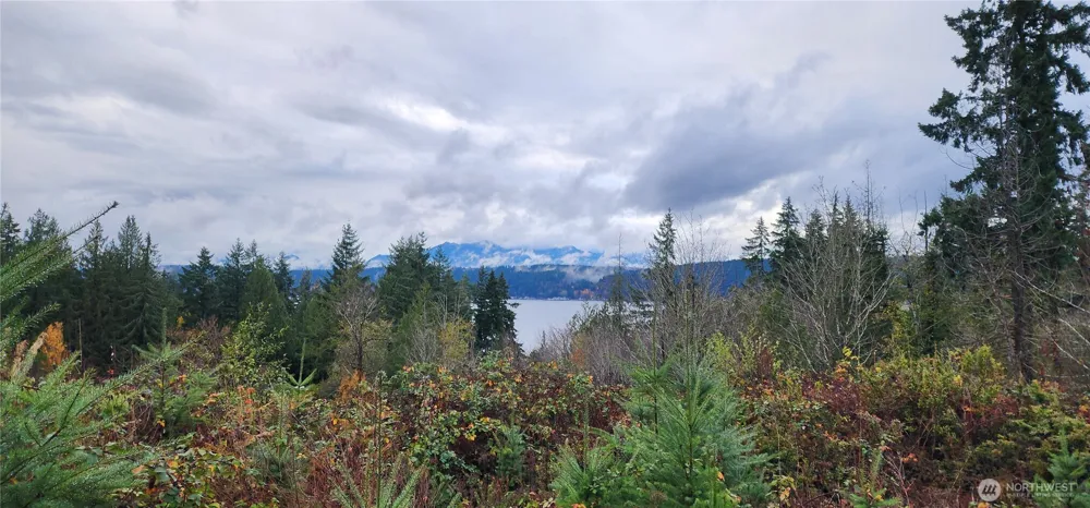 0 E Twanoh Heights Road Belfair, WA 98528