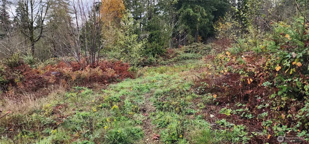 0 E Twanoh Heights Road Belfair, WA 98528