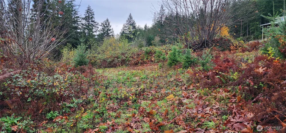 0 E Twanoh Heights Road Belfair, WA 98528