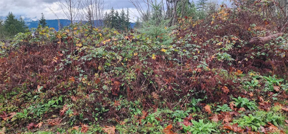0 E Twanoh Heights Road Belfair, WA 98528