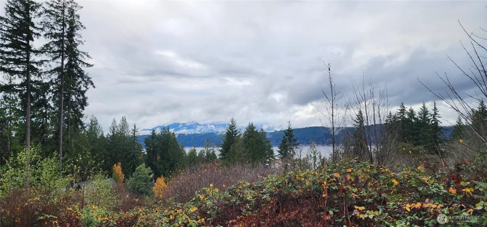 0 E Twanoh Heights Road Belfair, WA 98528
