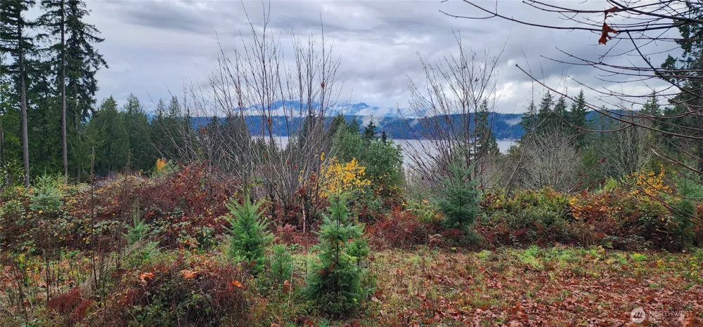 0 E Twanoh Heights Road Belfair, WA 98528