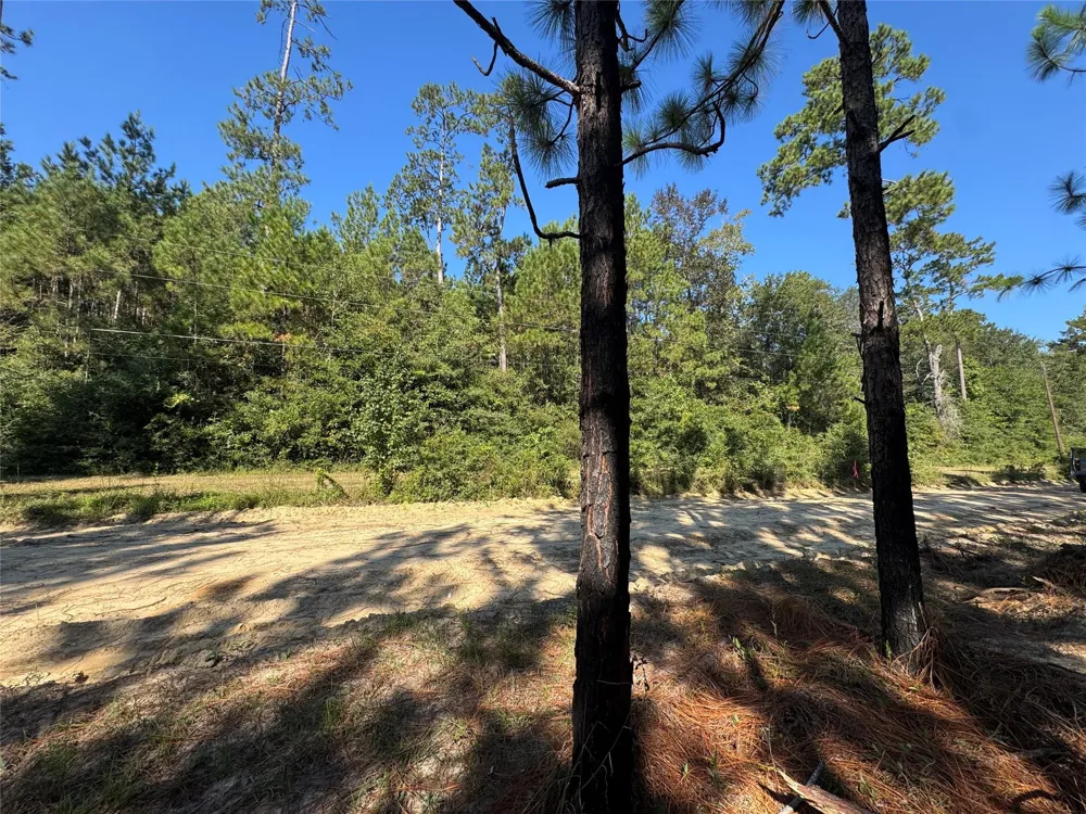 3072 Cr Kirbyville, TX 75956