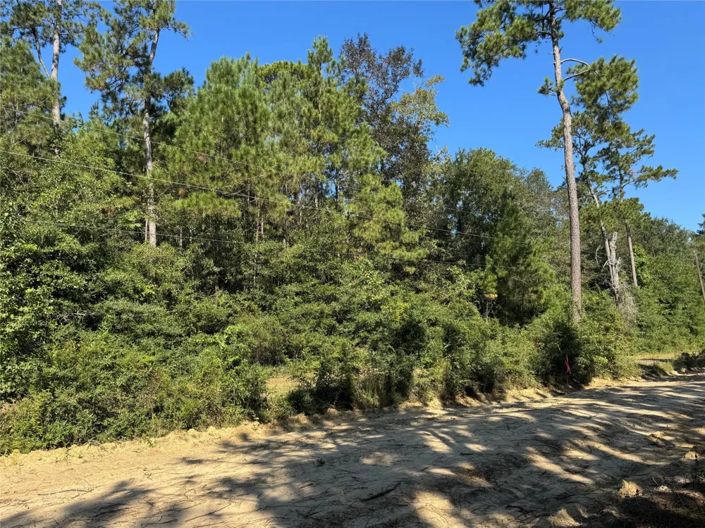 3072 Cr Kirbyville, TX 75956