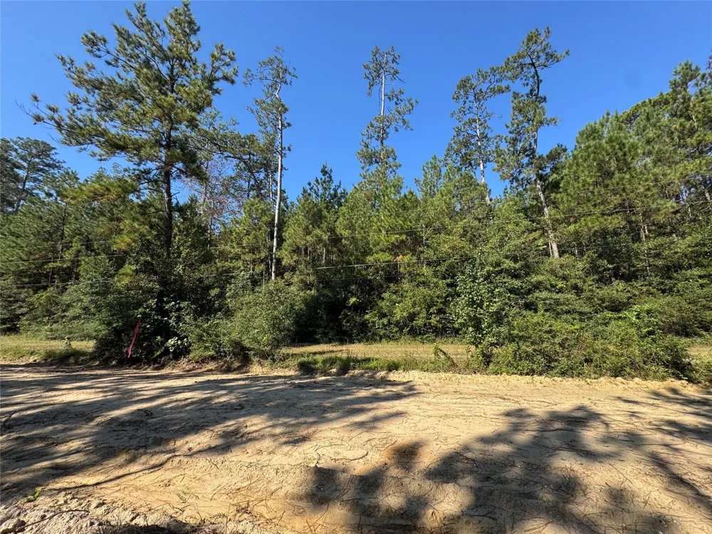 3072 Cr Kirbyville, TX 75956