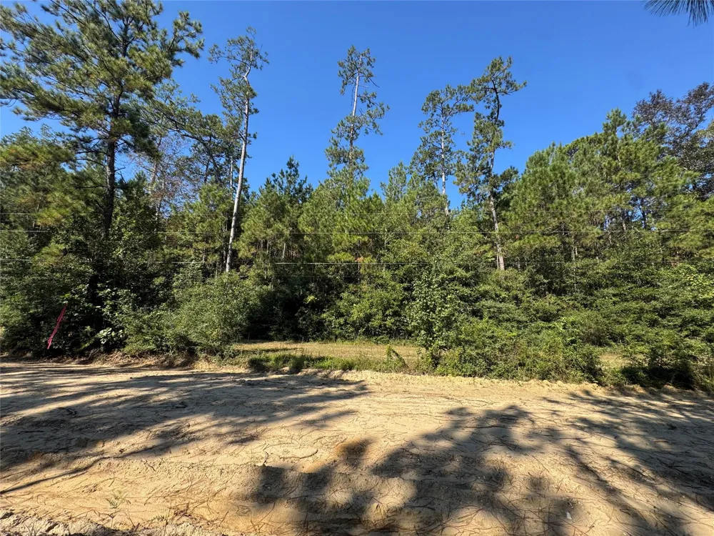 3072 Cr Kirbyville, TX 75956