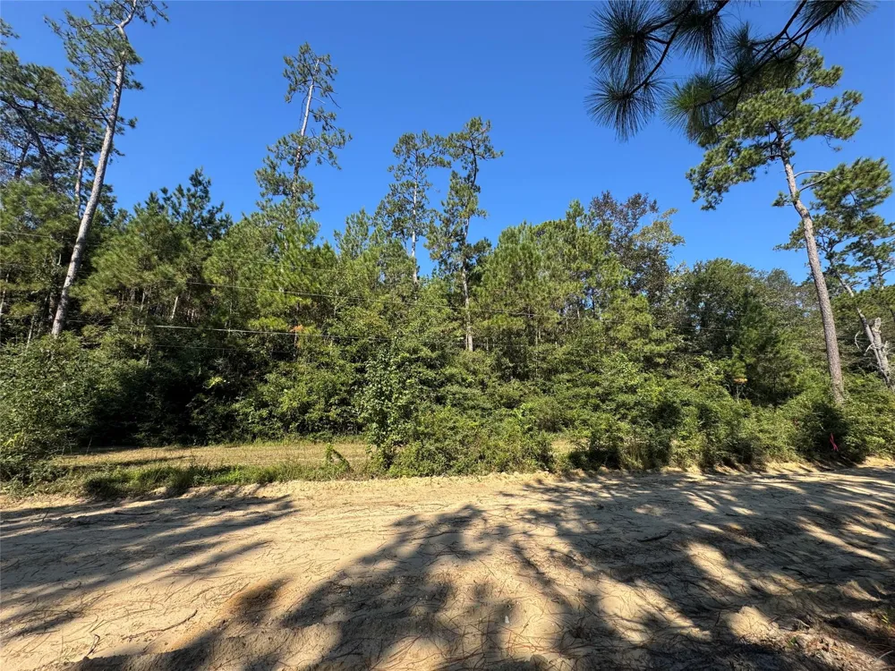 3072 Cr Kirbyville, TX 75956