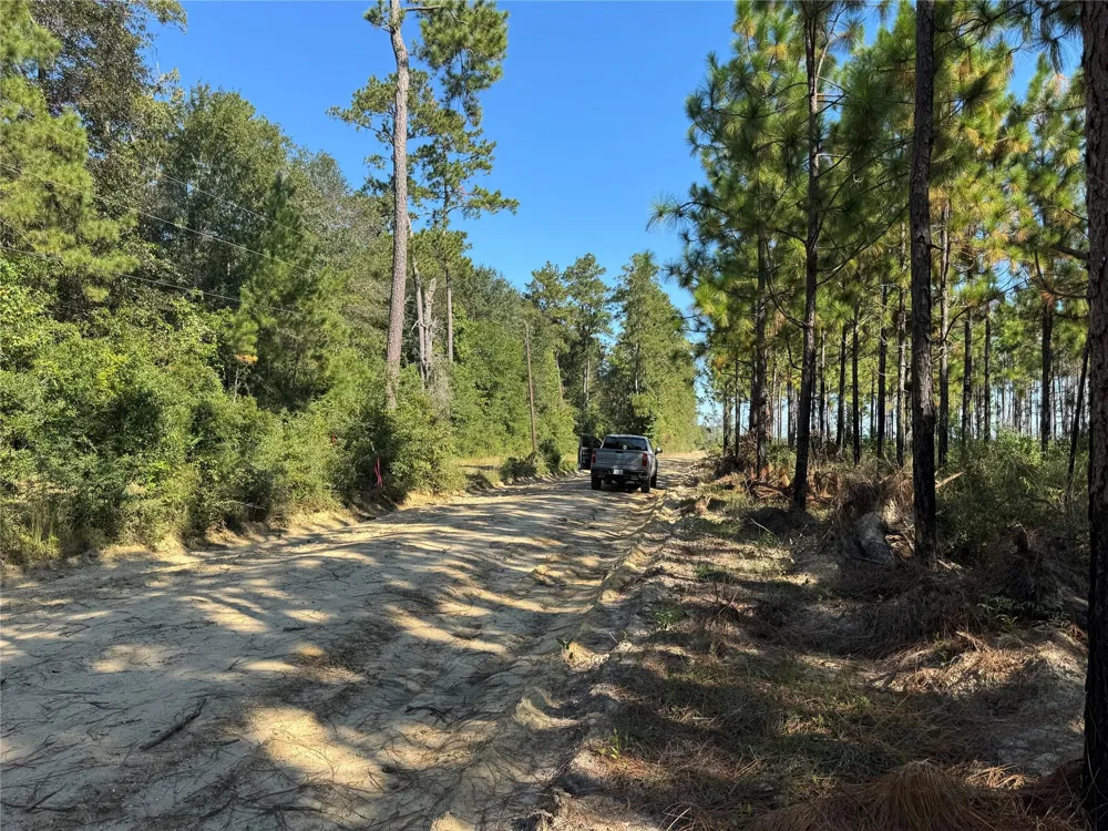 3072 Cr Kirbyville, TX 75956