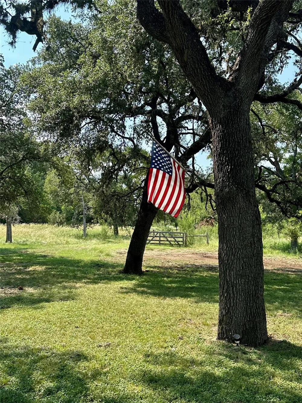 23883 Us Hwy 83 N Concan, TX 78801