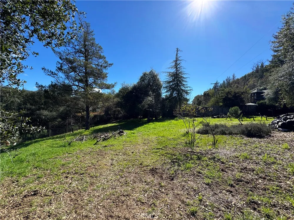 14605 Tomki Rd Redwood Valley, CA 95470