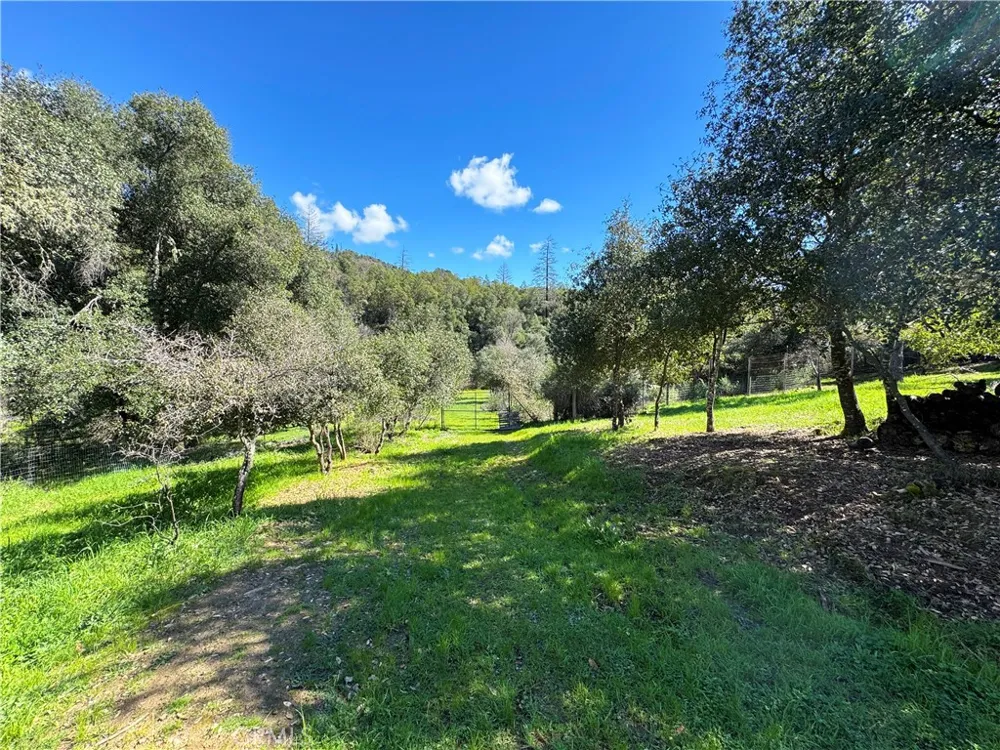 14605 Tomki Rd Redwood Valley, CA 95470