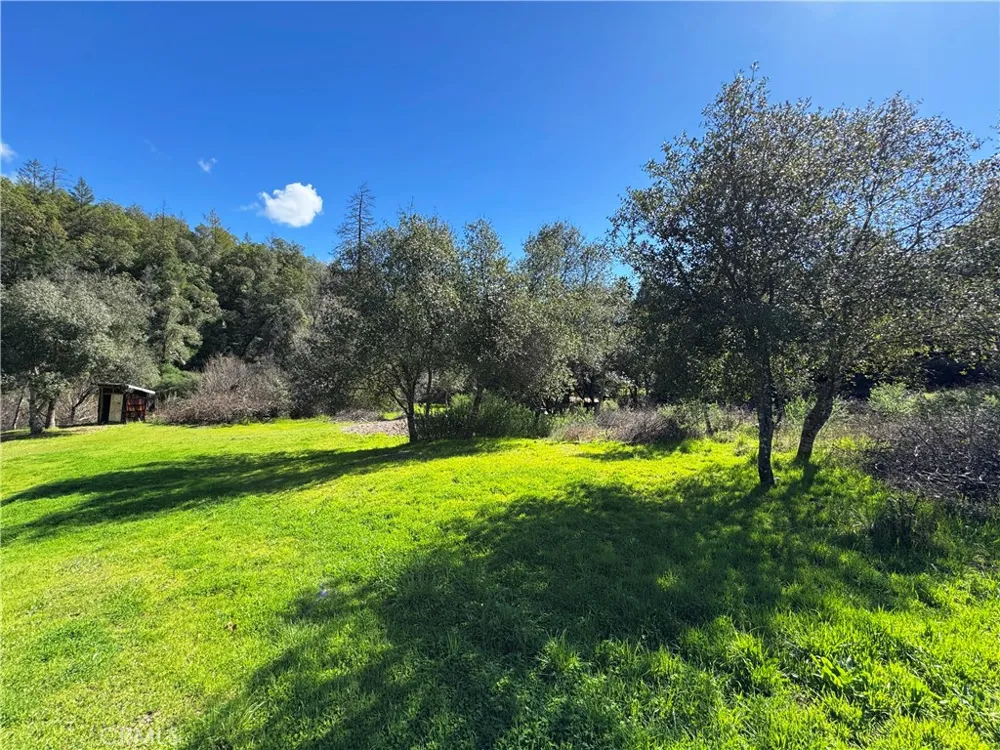 14605 Tomki Rd Redwood Valley, CA 95470