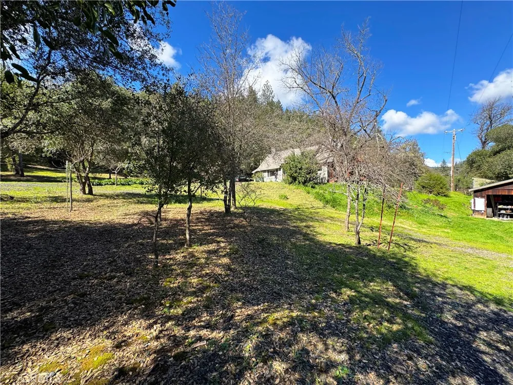 14605 Tomki Rd Redwood Valley, CA 95470