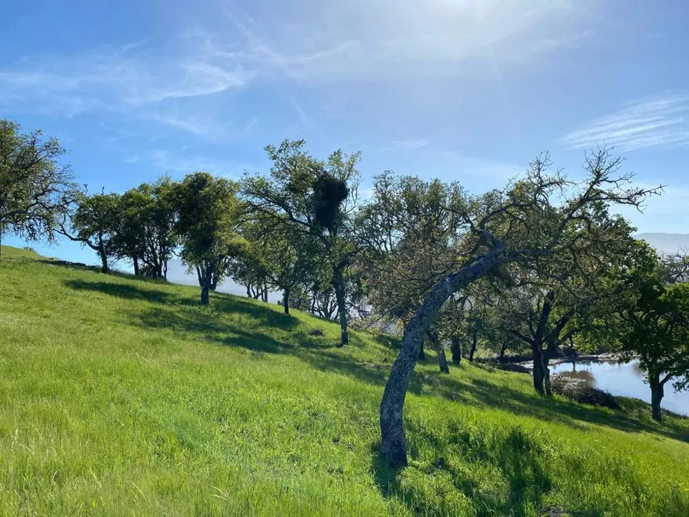 35180 Sky Ranch Road Carmel Valley, CA 93924