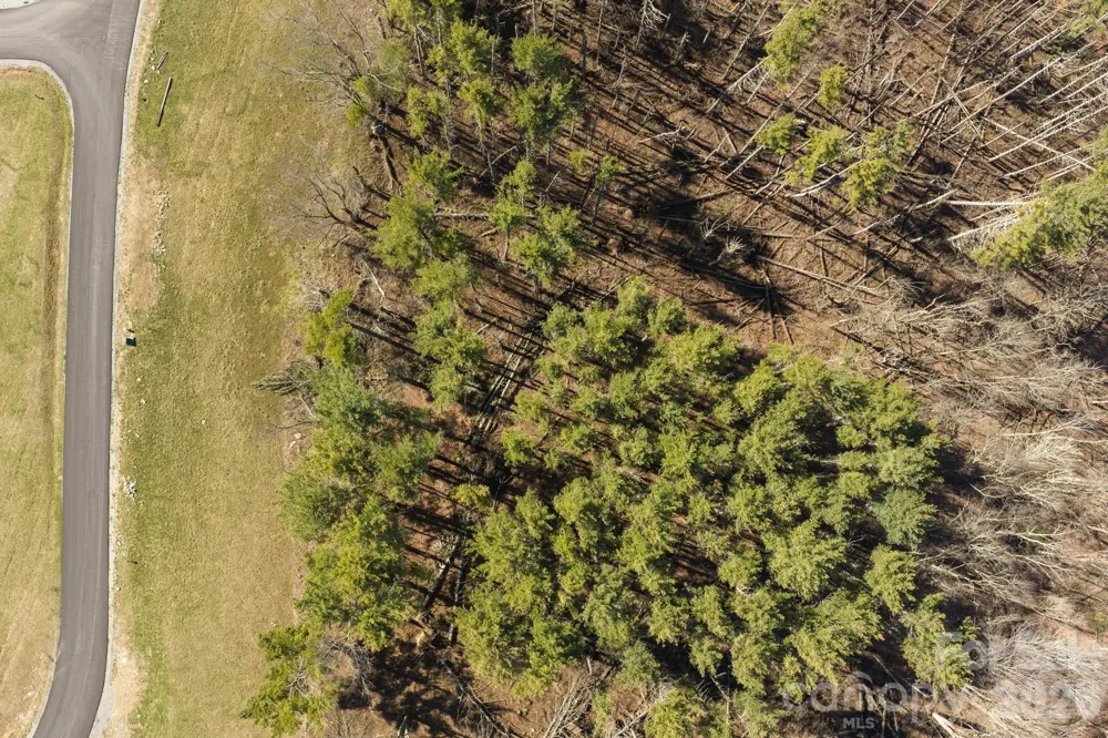 52 Clouds Rest Drive #52 Elk Park, NC 28622