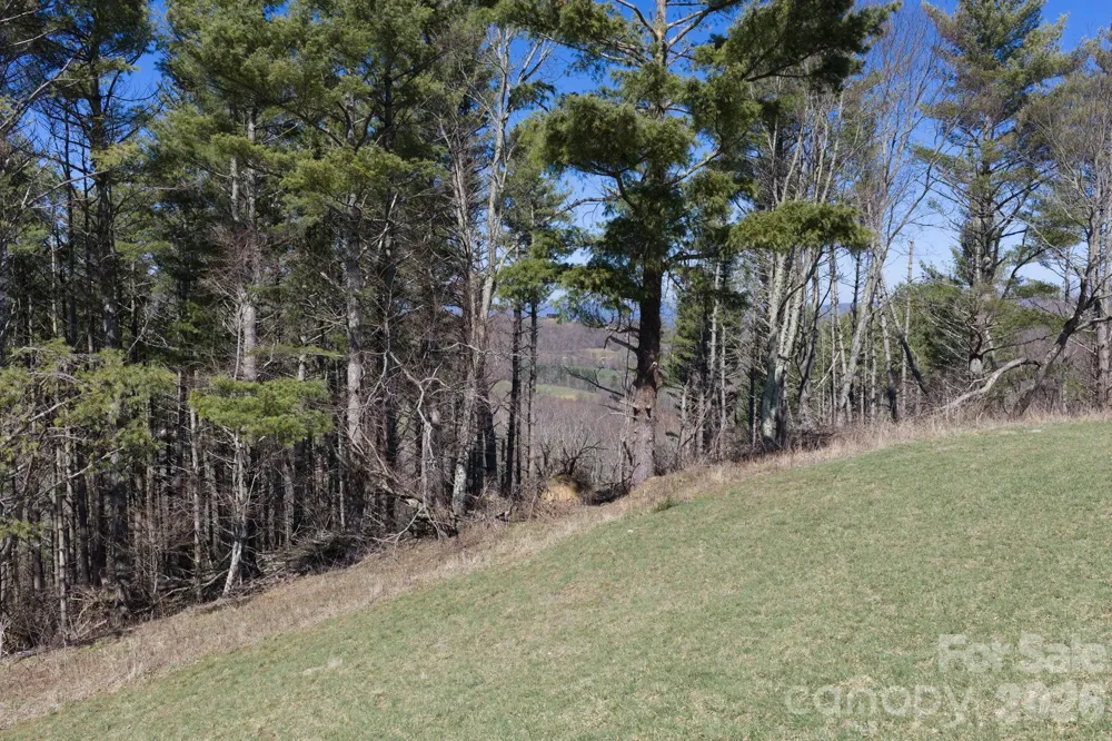 52 Clouds Rest Drive #52 Elk Park, NC 28622
