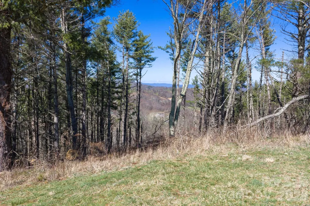 52 Clouds Rest Drive #52 Elk Park, NC 28622