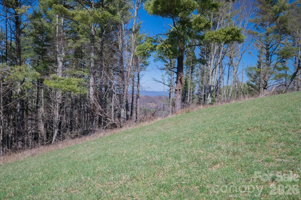 52 Clouds Rest Drive #52 Elk Park, NC 28622