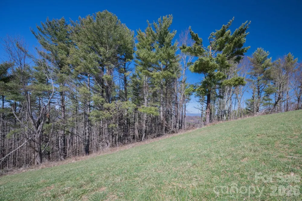 52 Clouds Rest Drive #52 Elk Park, NC 28622