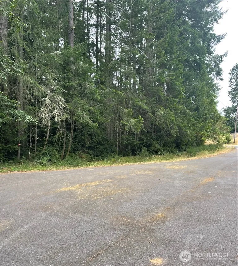 12514 93rd Street Ct Anderson Island, WA 98303