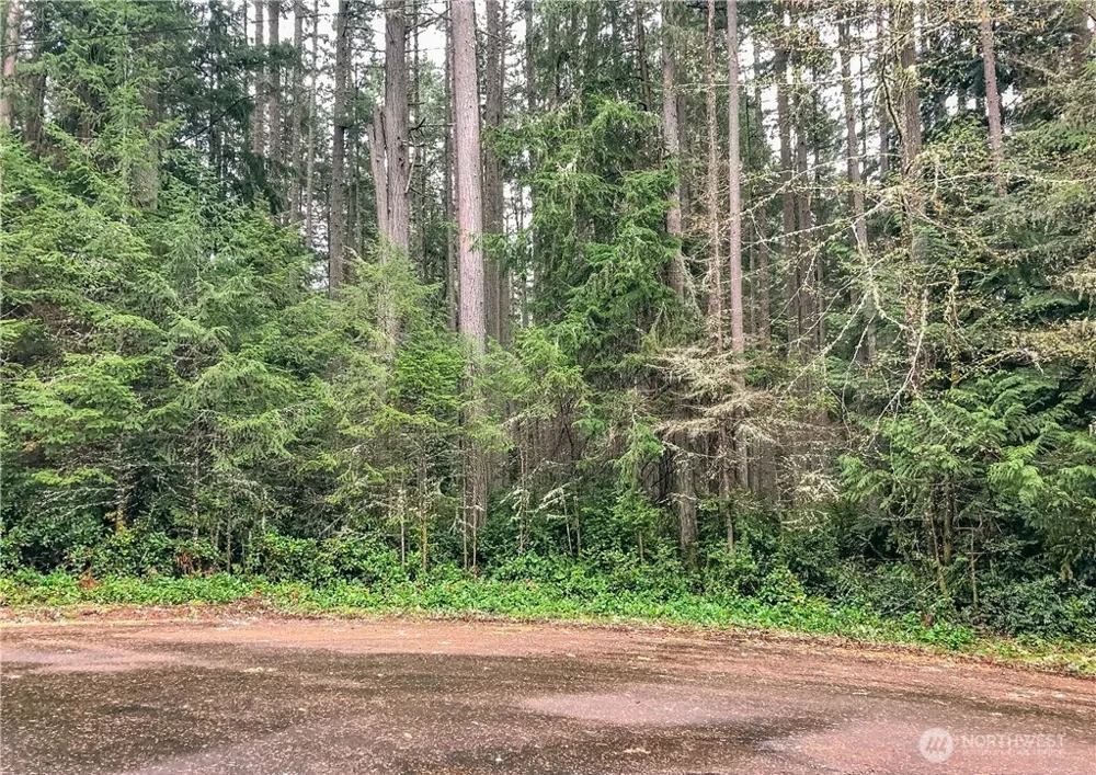 12514 93rd Street Ct Anderson Island, WA 98303