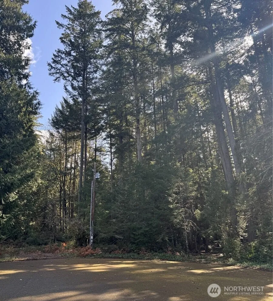 12514 93rd Street Ct Anderson Island, WA 98303
