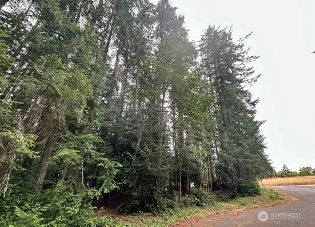12514 93rd Street Ct Anderson Island, WA 98303