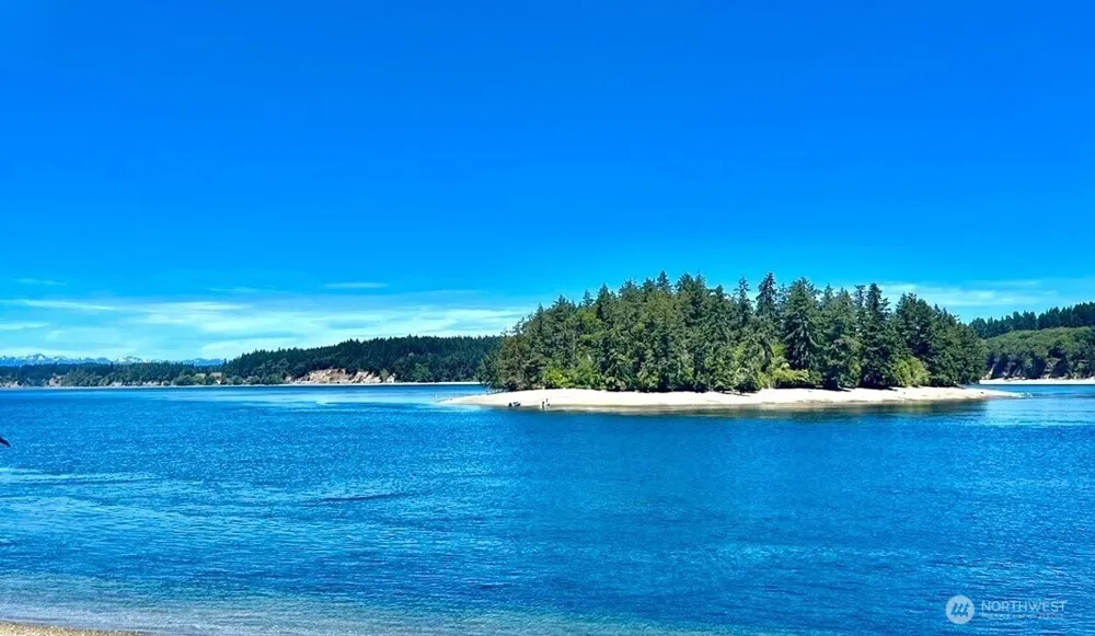 12514 93rd Street Ct Anderson Island, WA 98303