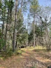 178 Bloomer Hill Rd Berry Creek, CA 95916