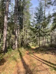 178 Bloomer Hill Rd Berry Creek, CA 95916