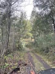 178 Bloomer Hill Rd Berry Creek, CA 95916