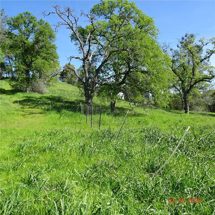 Reicker Oroville, CA 95966