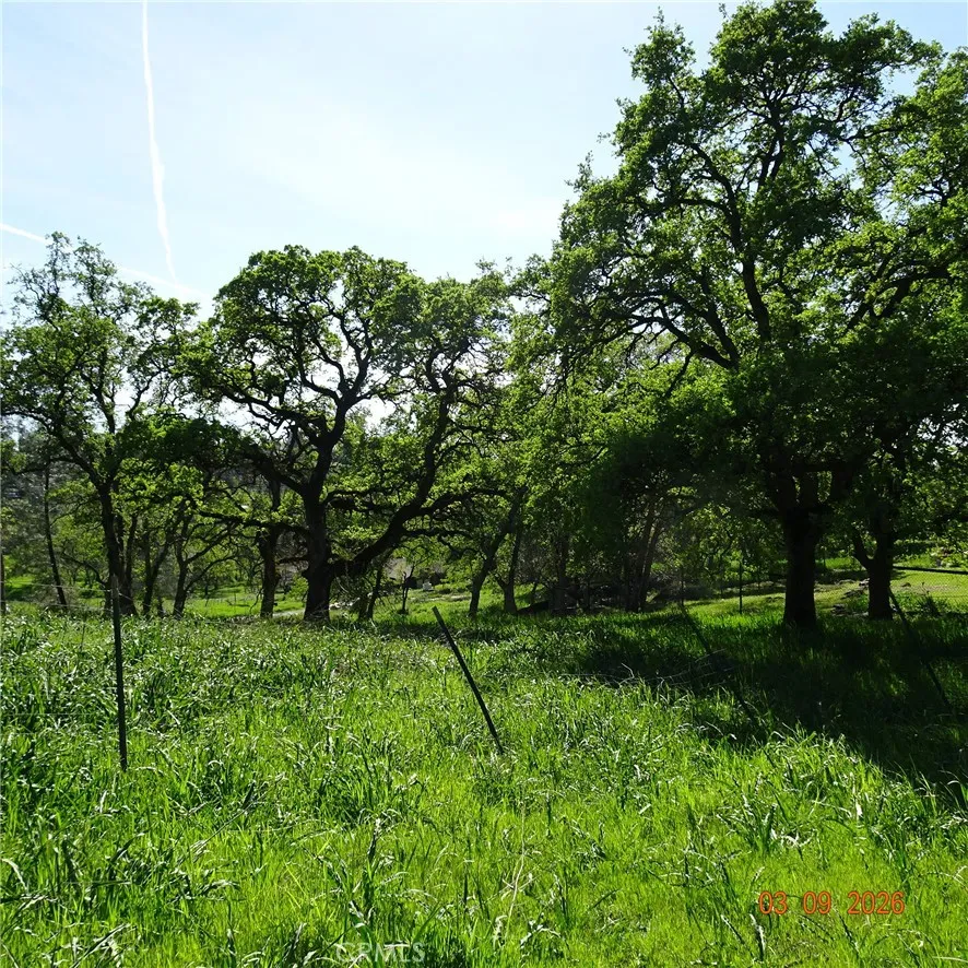 Reicker Oroville, CA 95966