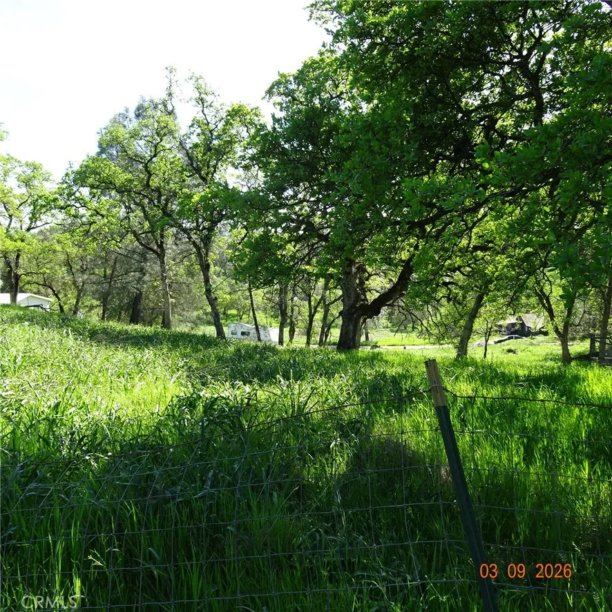 Reicker Oroville, CA 95966