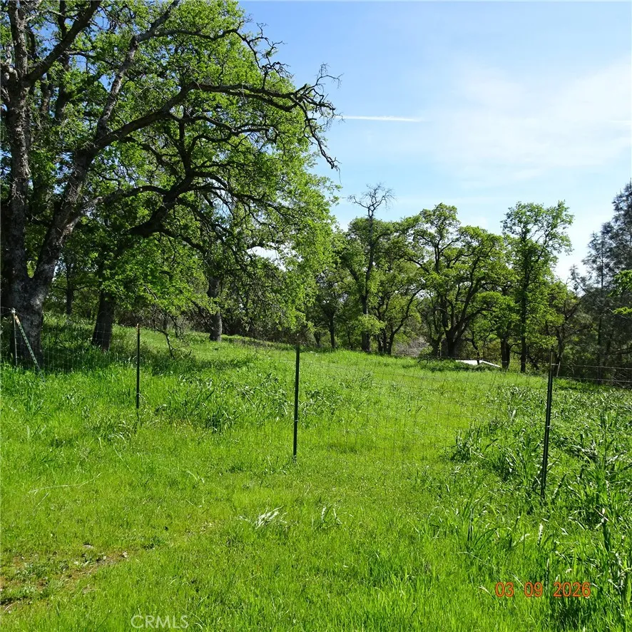 Reicker Oroville, CA 95966