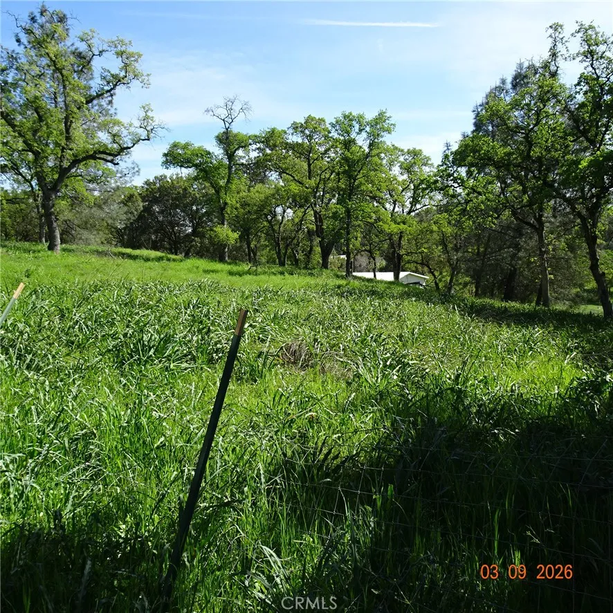 Reicker Oroville, CA 95966
